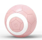Electric Pet Toy Ball