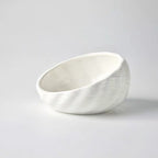 Pet Supplies Elevated Cat and Dog Bowls with Slant Design