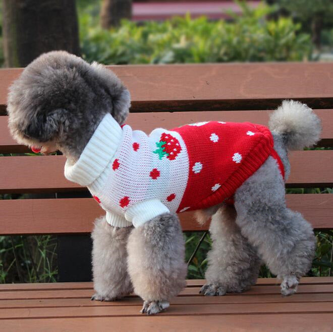 Dog Sweater, Pet Clothing, Knitted Pet Outfit
