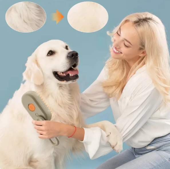 Pet Brush