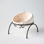 Pet Supplies Elevated Cat and Dog Bowls with Slant Design