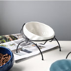 Pet Supplies Elevated Cat and Dog Bowls with Slant Design