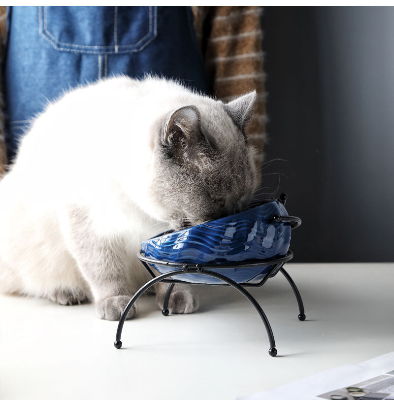 Pet Supplies Elevated Cat and Dog Bowls with Slant Design